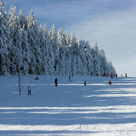 Penzion U Studeneho Potoka Nove Hute Exterior foto