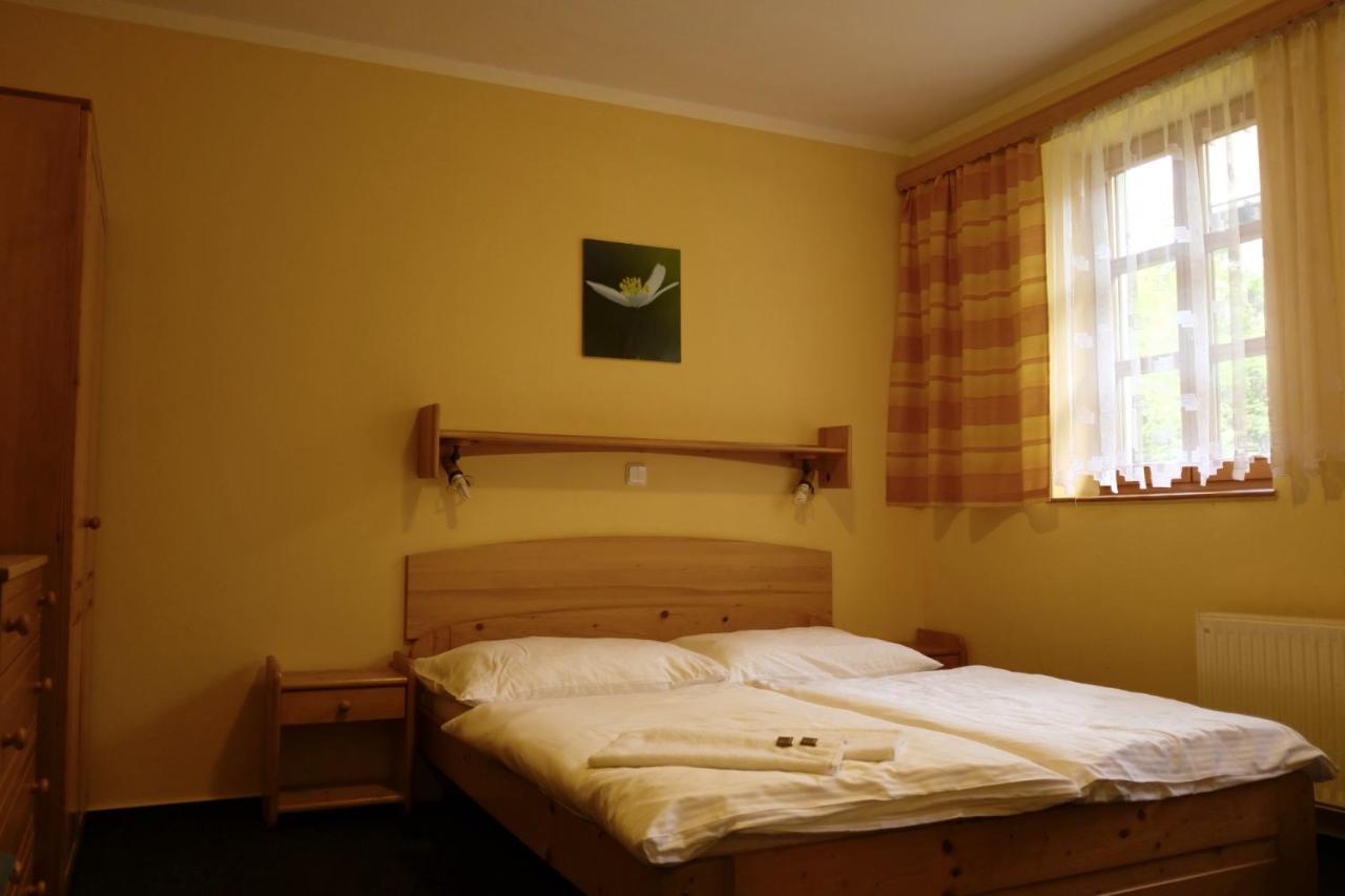 Penzion U Studeneho Potoka Nove Hute Exterior foto